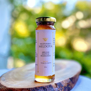 Mel de Jataí (140g)