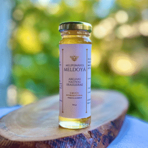 Mel de Uruçu-Nordestina (140g)