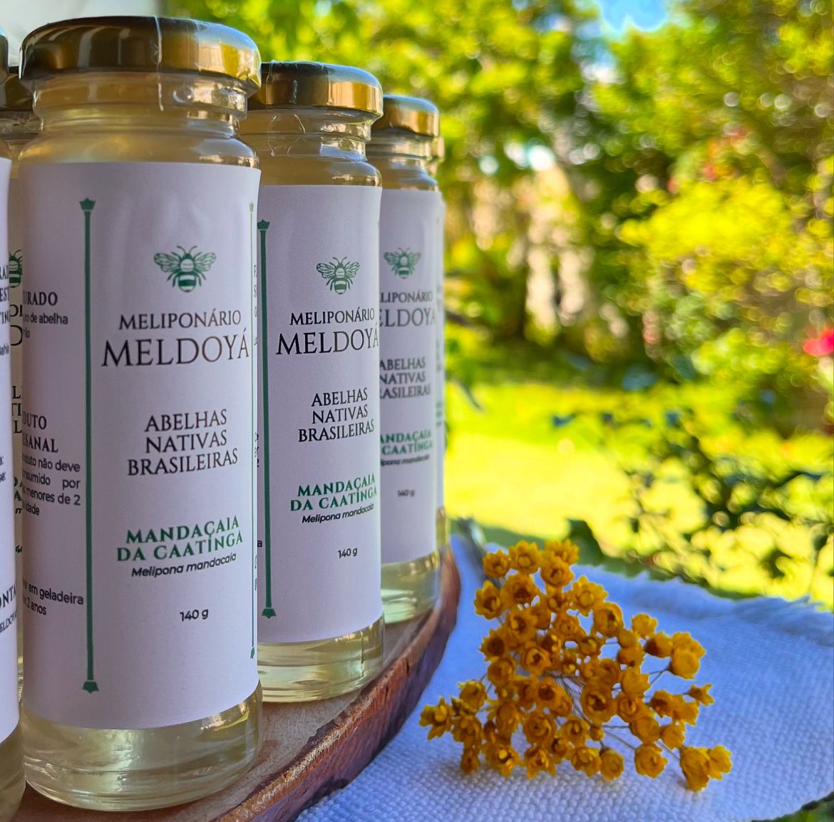 Mel de Mandaçaia da Caatinga (140g)