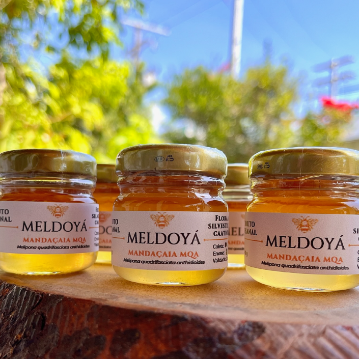 Mel de Mandaçaia MQA (40g)