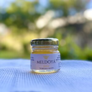 Mel de Jataí (40g)