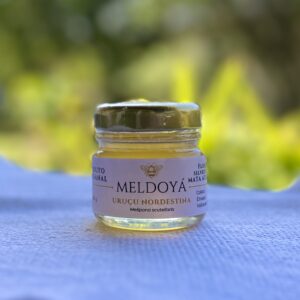 Mel de Uruçu-Nordestina (40g)