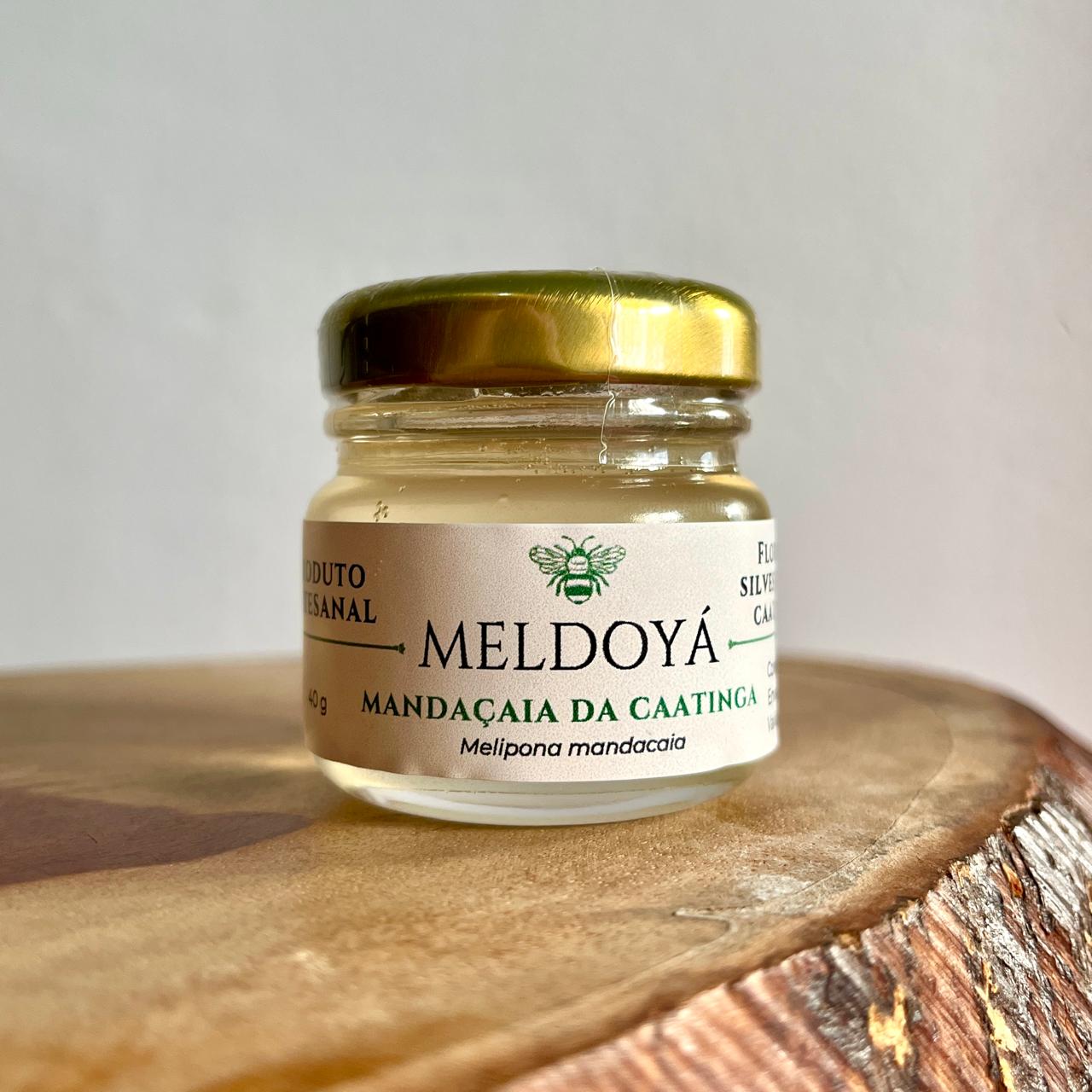 Mel de Mandaçaia da Caatinga (40g)